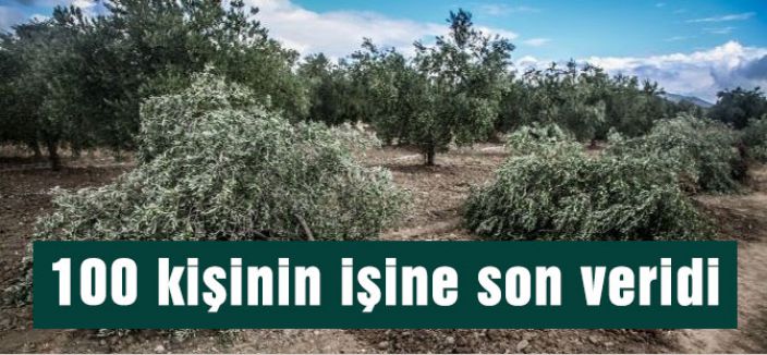 100 kişinin işine son veridi