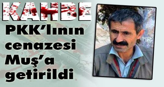 12 askeri şehit eden Katilin leşi kıymete bindi
