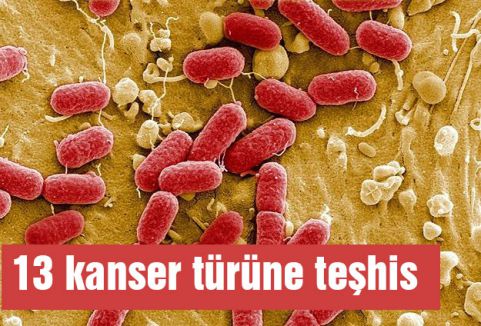13 kanser türüne teşhis