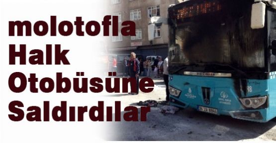 15 Kişilik Grup Halk Otobüsüne Saldırdı