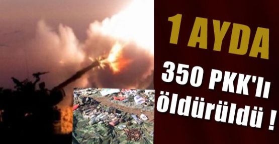 1 Ayda 350 PKK'lı öldürüldü !