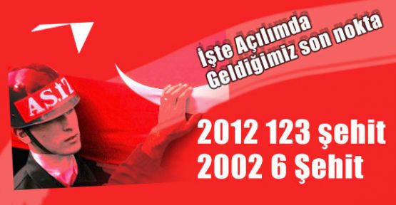 2002'deki 6 Şehit Sayısı 123'e Çıktı !