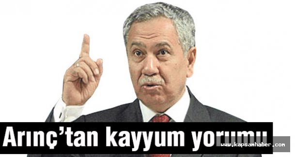 Arınç’tan Kayyum yorumu