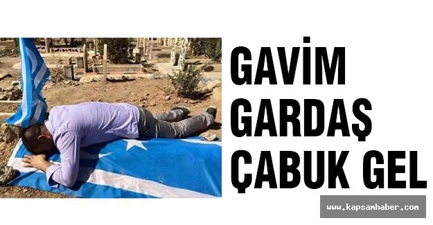 GAVİM GARDAŞ ÇABUK GEL
