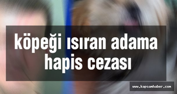 Köpeği ısıran adama hapis cezası