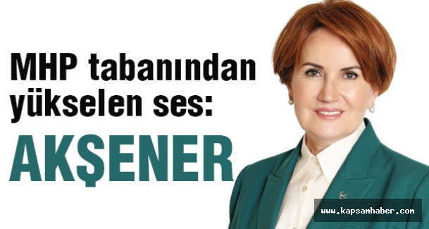 'Ülkücü irade'nin Meral Akşener sevdası