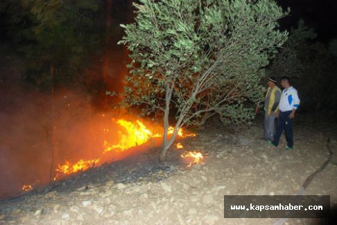 Orman Yangınında Büyük Zarar