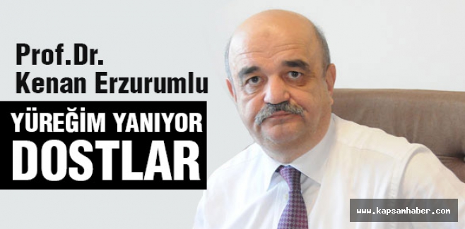 Prof.Dr.Erzurumlu: Yüreğim Yanıyor Dostlar