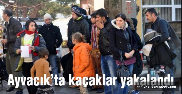 Ayvacık'ta 71 kaçak yakalandı...