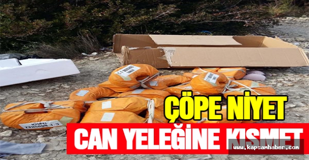 Çöpe Niyet Can Yeleğine Kısmet