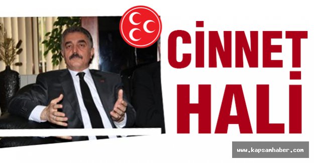 MHP'li Büyükataman: İçimize Atılan Kozalar Kabuklarını Kırmıştır