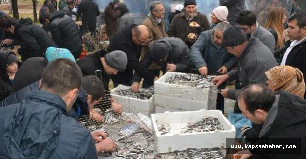 Niğde'de Karadenizliler 1 ton hamsiyi ücretsiz dağıttı