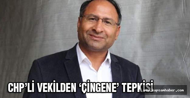 Roman Milletvekilinden 'Çingene' Tepkisi