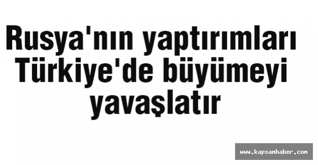 Rusya'nın yaptırımları Türkiye'de büyümeyi yavaşlatır