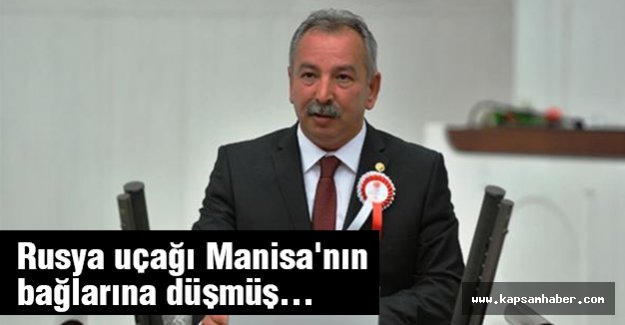 Rusya uçağı Manisa'nın bağlarına düşmüş...