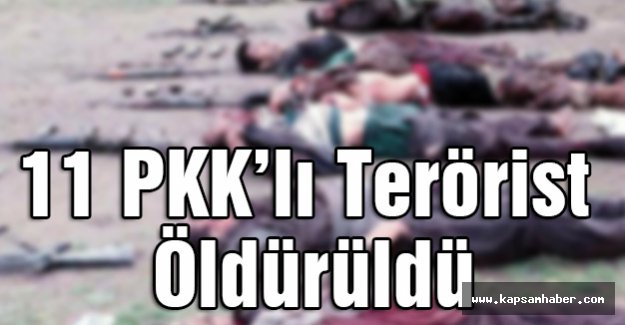 11 PKK’lı Terörist Öldürüldü