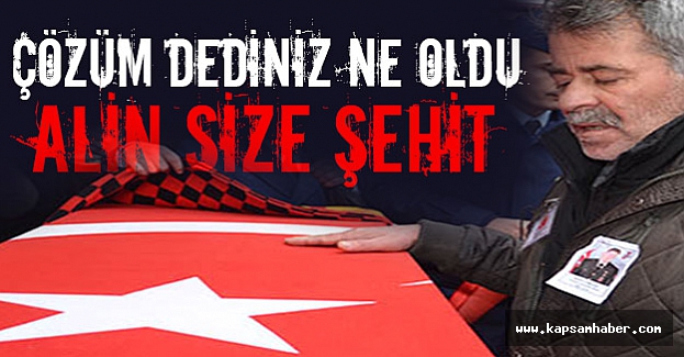 'Baldıran zehirini şehitlere içirdiniz'