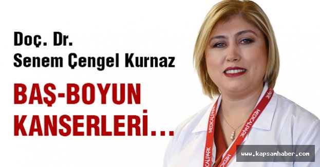 BAŞ BOYUN KANSERLERİ...