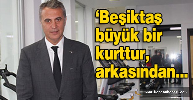 Beşiktaş büyük bir kurttur, arkasından...