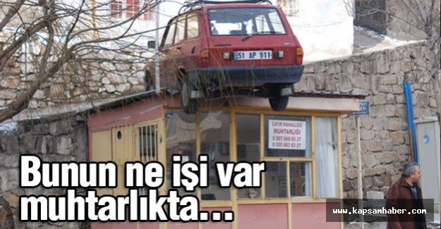 Böylesi Görülmedi.; Ne İşi Var Muhtarlıkta