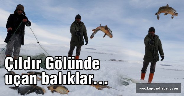 Çıldır Gölünde uçan balıklar...