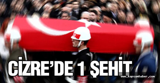 Cizre’de 1 Özel Harekat Polisi şehit oldu.