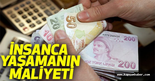 İnsanca Yaşamanın Maliyeti...