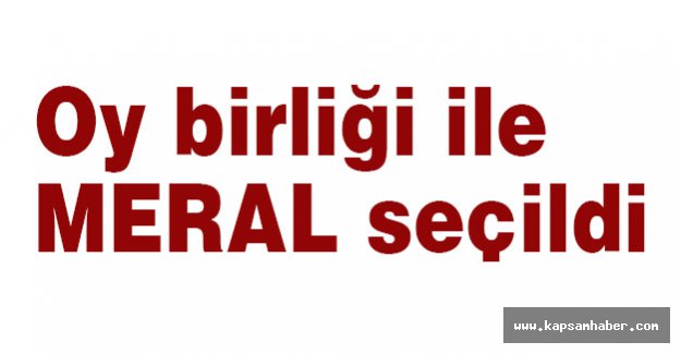 MHP'de Oy Birliği ile MERAL Seçildi