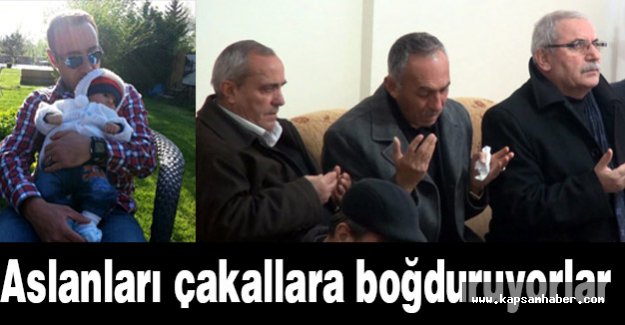 Şehit babası: Aslanları çakallara boğduruyorlar!