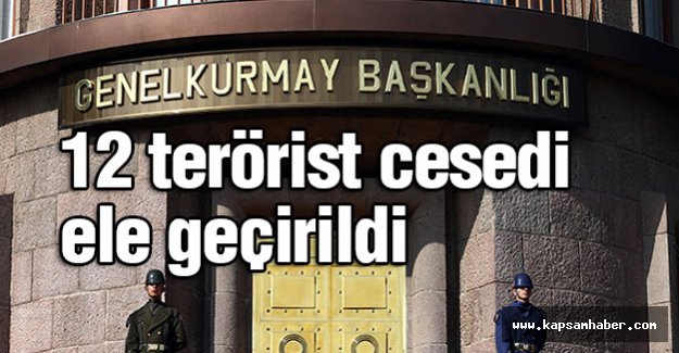 12 terörist cesedi ele geçirildi
