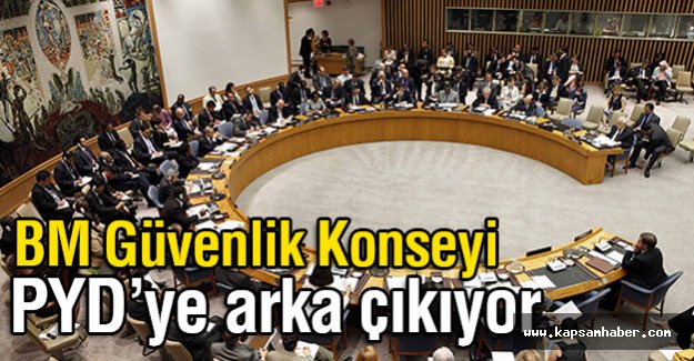 BM Güvenlik Konseyi PYD'ye Arka Çıkıyor