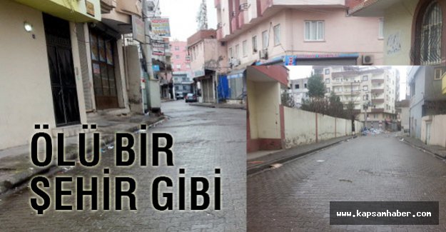 Cizre Ölü Bir Şehir Gibi...