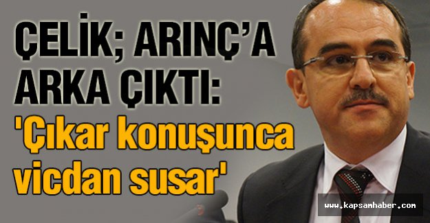 Hüseyin Çelik, Arınç'a Arka Çıktı