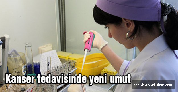 Kanser tedavisinde yeni umut