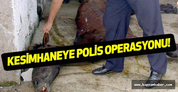Kesimhaneye Polis Operasyonu!