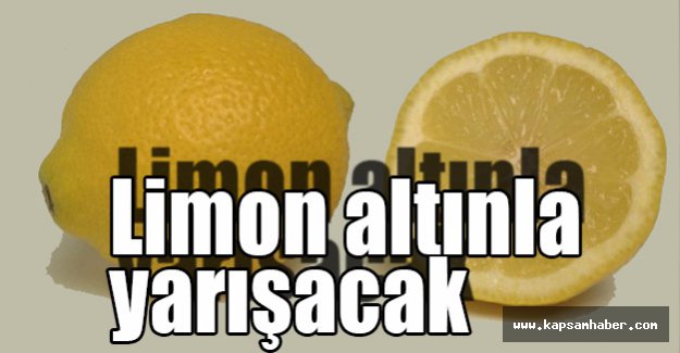 Limon Altınla Yarışacak