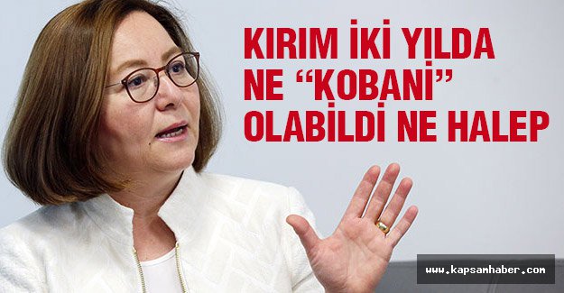 MHP'li Demirel: Kırım iki Yılda Ne 'kobani' Olabildi Ne Halep