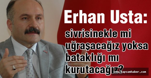 MHP'li Usta: sivrisinekle mi uğraşacağız yoksa bataklığı mı kurutacağız?