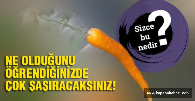 Sizce Bu Nedir? çok şaşıracaksınız!