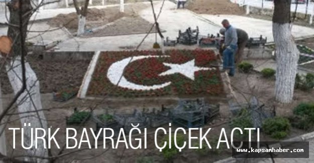 Türk Bayrağı Çiçek Açtı