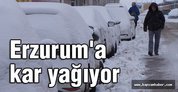 Erzurum'a kar yağıyor...
