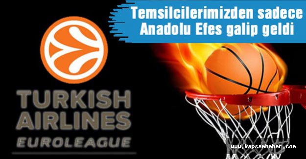 Euroleague'de 12. haftanın ardından