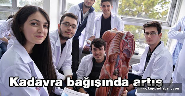 Kadavra bağışında artış