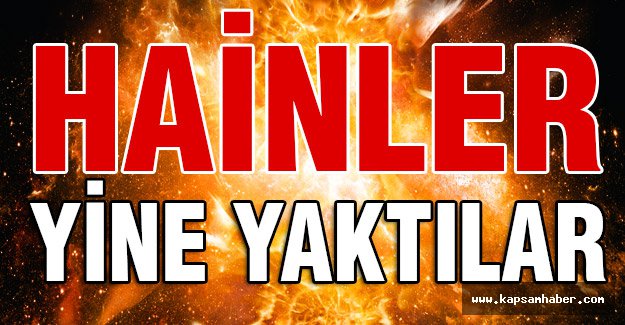 Kağıthane'de Hainler Yine Terör Estirdi