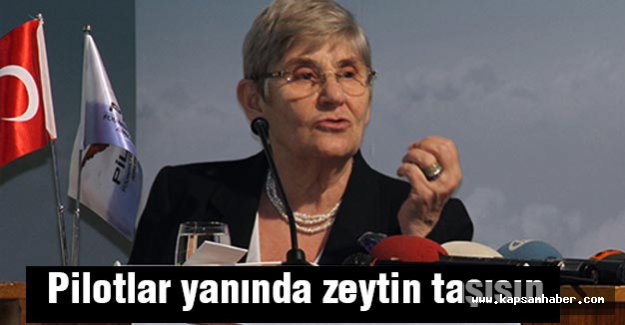 Karatay: Pilotlar yanında zeytin taşısın