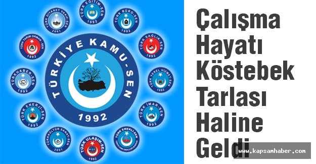 Koncuk, Çalışma Hayatı Köstebek Tarlası Haline Geldi