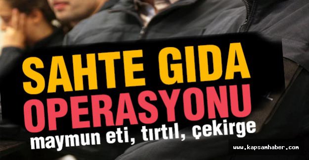 Sahte gıda operasyonu: maymun eti, tırtıl, çekirge...