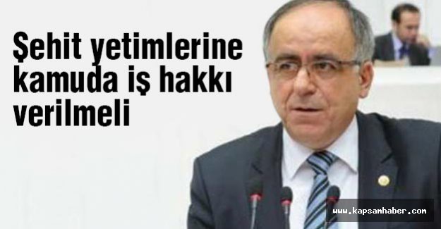 Şehit Yetimlerine Kamuda İş Hakkı Verilmeli