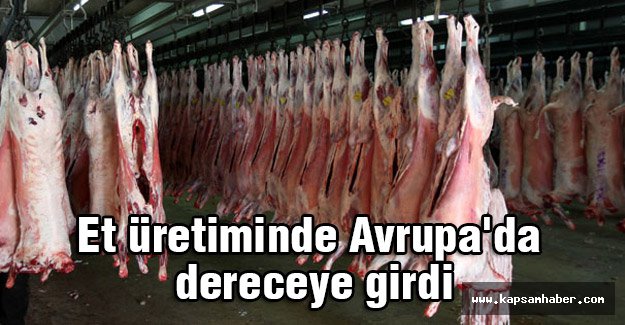 Türkiye, et üretiminde Avrupa'da dereceye girdi