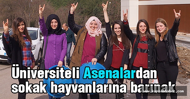 Üniversiteli Asenalardan Sokak Hayvanlarına Barınak